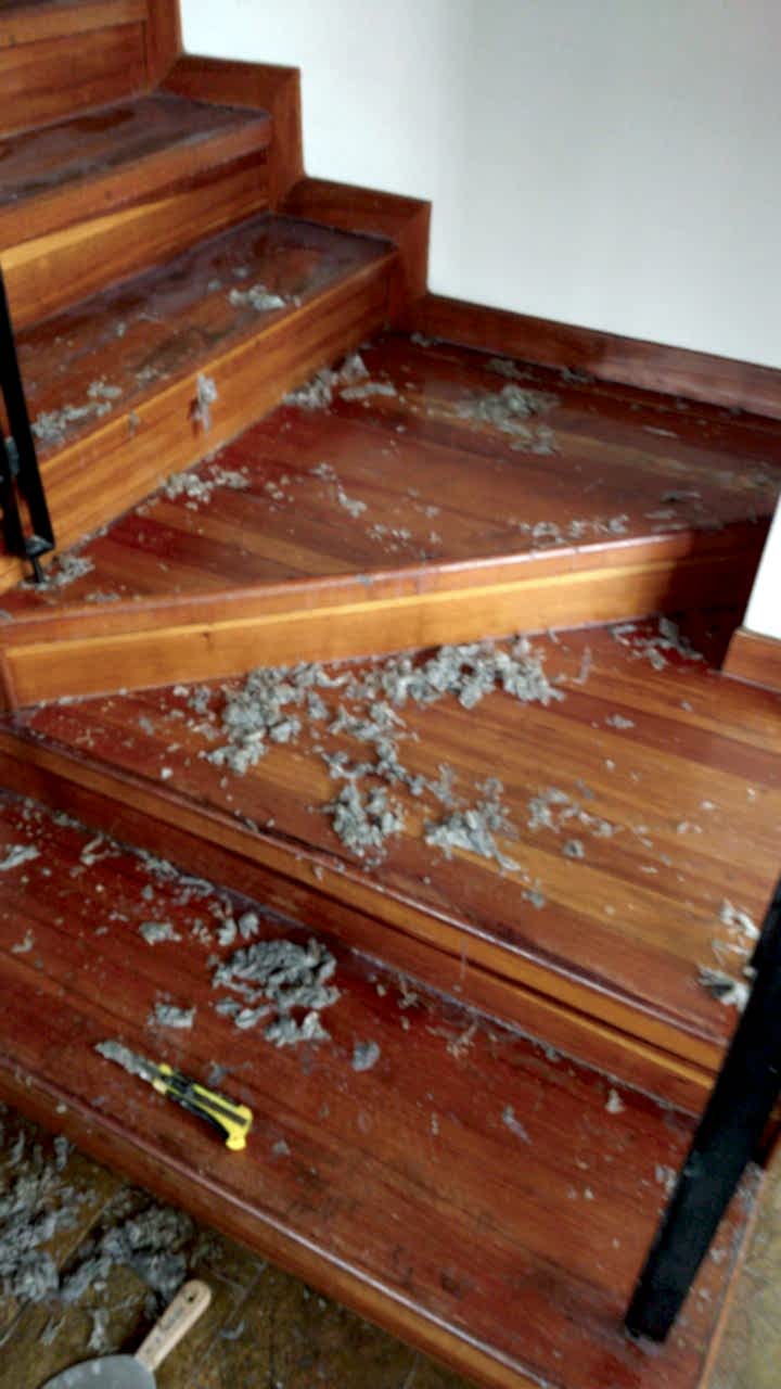 Mantenimiento de pisos de madera en bogotá y Cundinamarca